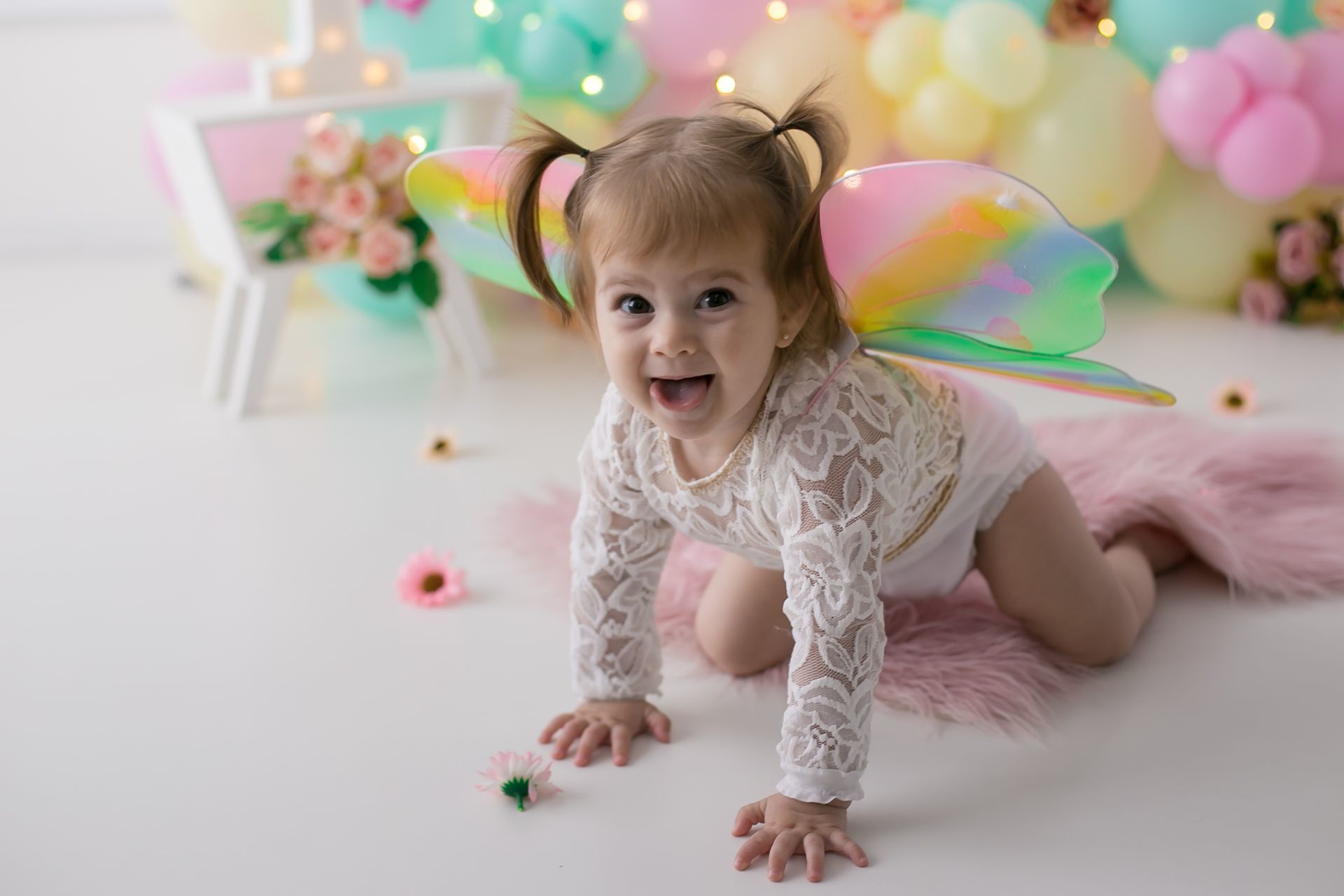 Foto Smash the Cake - Ensaio de 1 aninho da Betina - Imagem 3